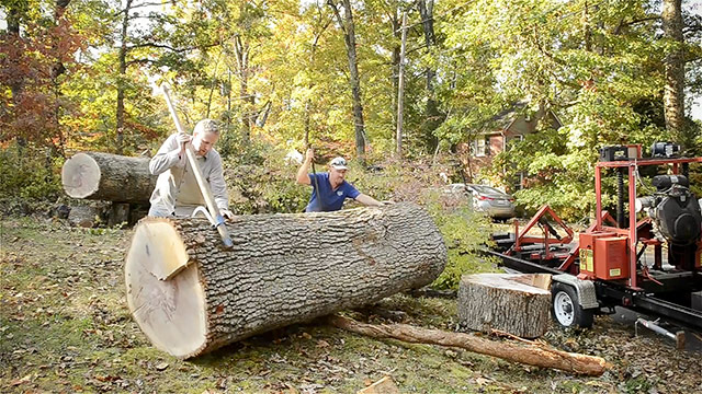 Using A Cant Hook To Move A Large White Oak Log Onto A Portable Bandsaw Mill