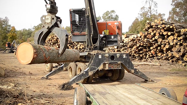 Crain Lifting An Oak Log Onto A Trailer