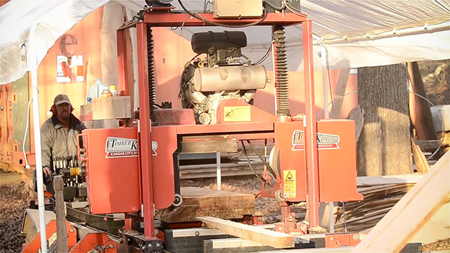 Milling Quarter Sawn White Oak Lumber From A Log On A Portable Bandsaw Mill
