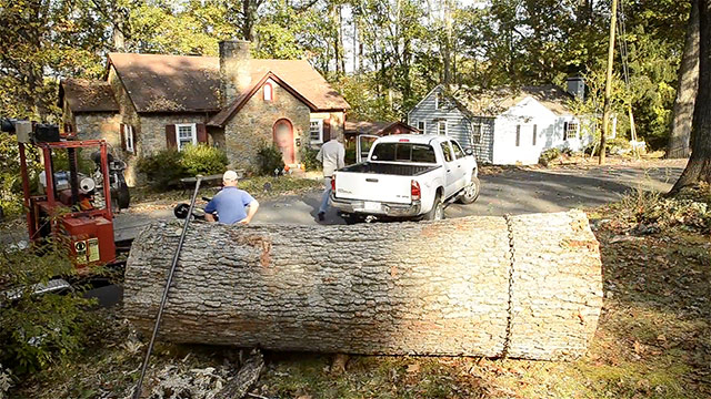 Using A Pickup Truck To Drag A White Oak Log