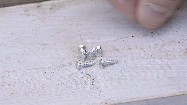 Zinc Plated Slotted Screws Sitting On A Piece Of Wood