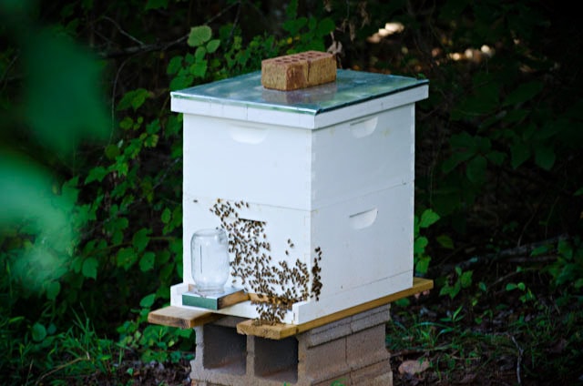Langstroth Beehive For Beeswax Furniture Polish