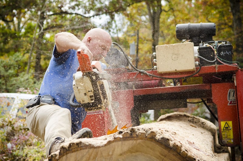 Todd Horne Using A Chainsaw To Cut A White Oak Log To Fit On A Bandsaw Mill
