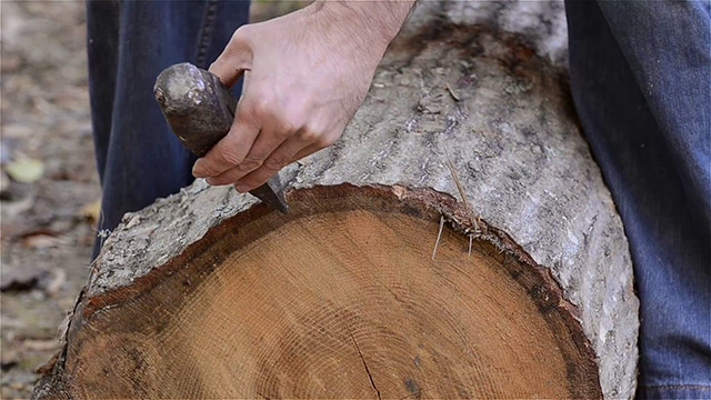 Split A Log With A Wood Splitting Wedge And Sledge Hammer