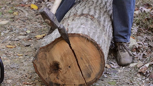 Split A Log With A Wood Splitting Wedge And Sledge Hammer