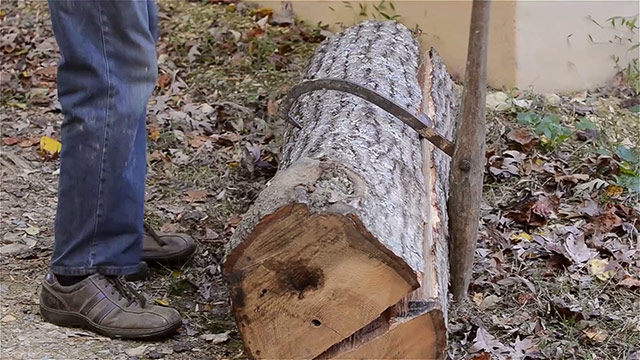 Using A Cant Hook To Roll A Log Over To Split A Log